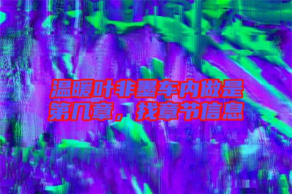 溫暖葉非墨車內做是第幾章，找章節(jié)信息