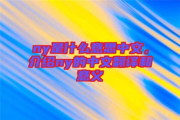 ny是什么意思中文，介紹ny的中文翻譯和意義
