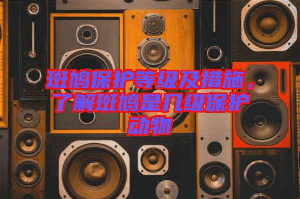 斑鳩保護(hù)等級及措施，了解斑鳩是幾級保護(hù)動物