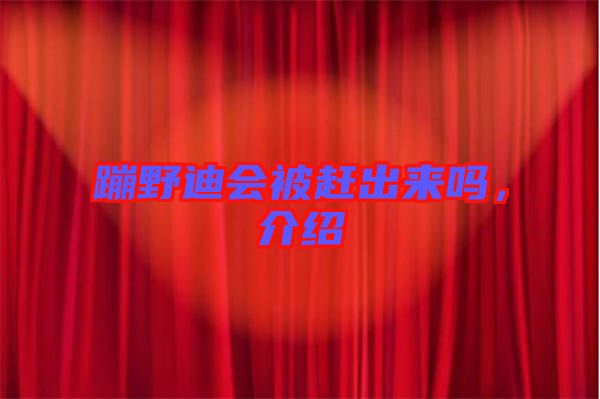 蹦野迪會被趕出來嗎，介紹