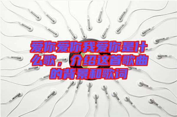 愛你愛你我愛你是什么歌，介紹這首歌曲的背景和歌詞