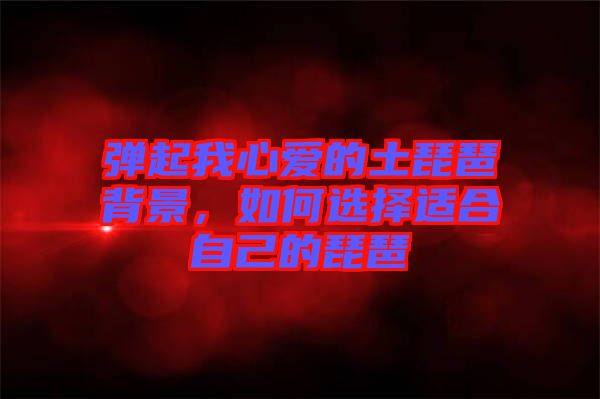 彈起我心愛的土琵琶背景，如何選擇適合自己的琵琶