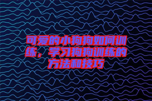 可愛的小狗狗如何訓(xùn)練，學(xué)習(xí)狗狗訓(xùn)練的方法和技巧