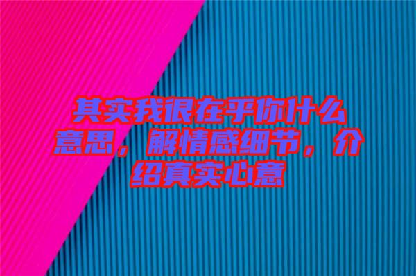 其實(shí)我很在乎你什么意思，解情感細(xì)節(jié)，介紹真實(shí)心意