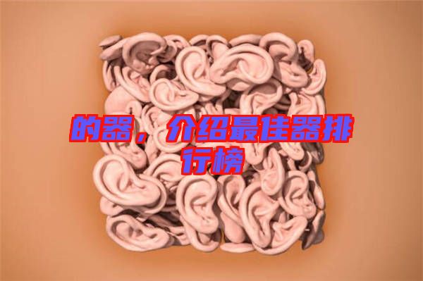 的器，介紹最佳器排行榜