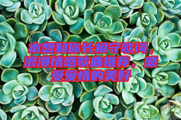 本想和你長相守歌詞，浪漫情感歌曲推薦，感受愛情的美好