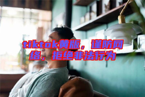 tiktok黃版，謹防網(wǎng)絡(luò)，拒絕非法行為