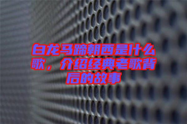 白龍馬蹄朝西是什么歌，介紹經(jīng)典老歌背后的故事