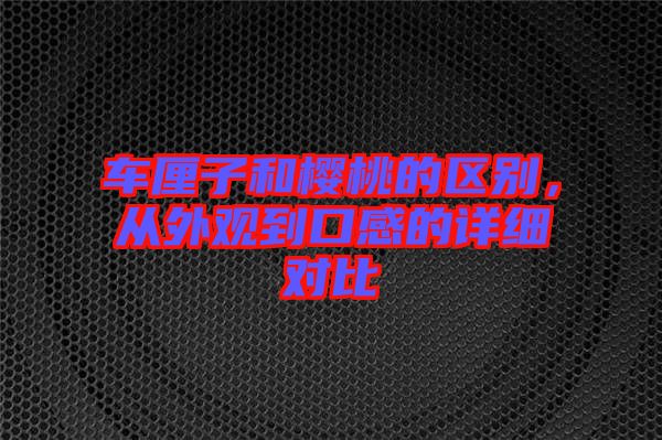 車厘子和櫻桃的區(qū)別，從外觀到口感的詳細對比