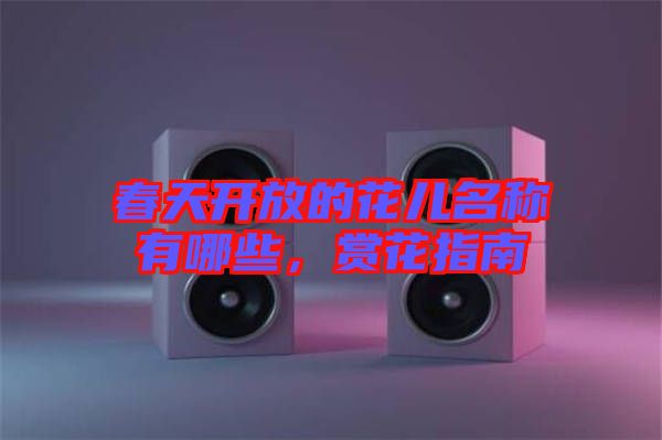 春天開放的花兒名稱有哪些，賞花指南