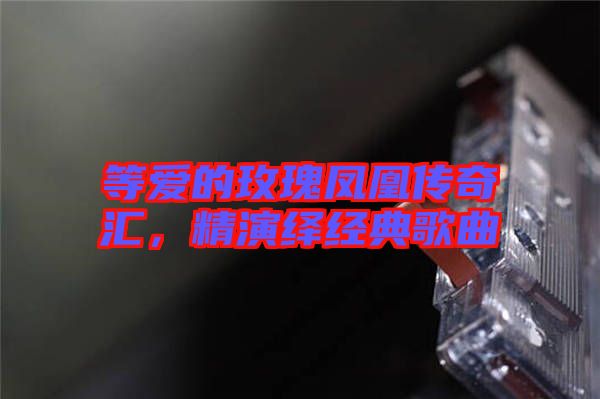 等愛(ài)的玫瑰鳳凰傳奇匯，精演繹經(jīng)典歌曲