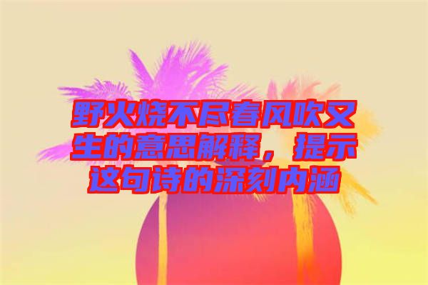 野火燒不盡春風(fēng)吹又生的意思解釋，提示這句詩的深刻內(nèi)涵