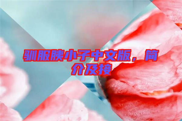 馴服胰小子中文版，簡介及接