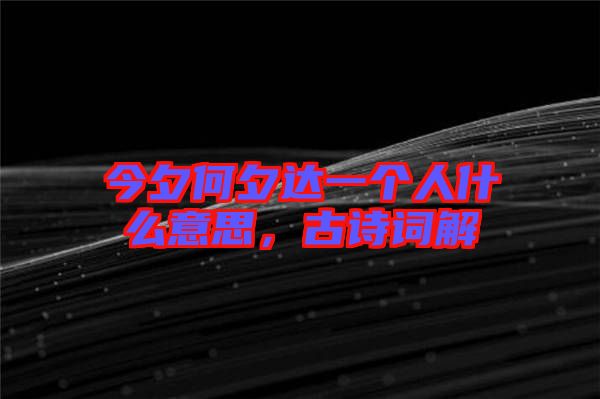 今夕何夕達(dá)一個人什么意思，古詩詞解