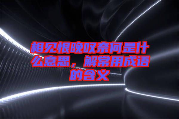 相見恨晚嘆奈何是什么意思，解常用成語的含義