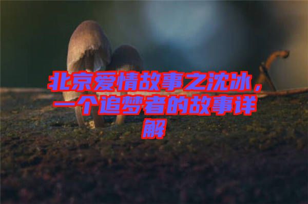 北京愛情故事之沈冰，一個(gè)追夢(mèng)者的故事詳解