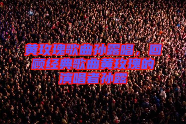 黃玫瑰歌曲孫露唱，回顧經典歌曲黃玫瑰的演唱者孫露