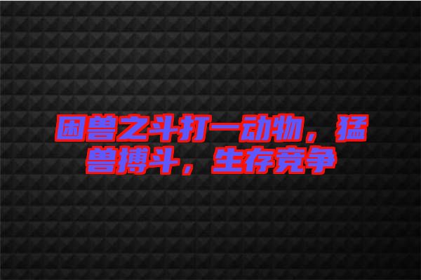 困獸之斗打一動(dòng)物，猛獸搏斗，生存競(jìng)爭(zhēng)