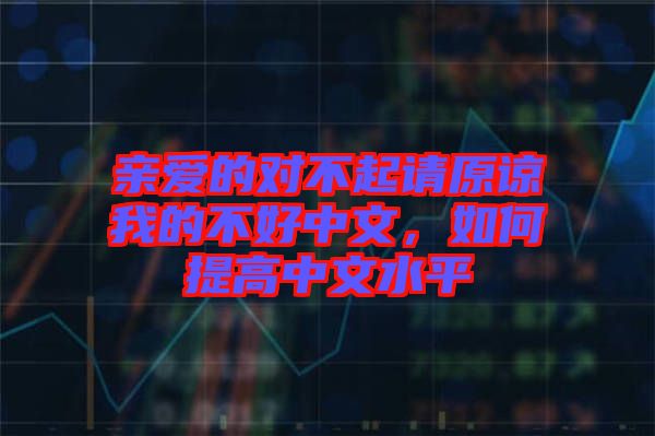 親愛的對不起請原諒我的不好中文，如何提高中文水平