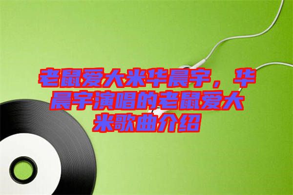 老鼠愛大米華晨宇，華晨宇演唱的老鼠愛大米歌曲介紹