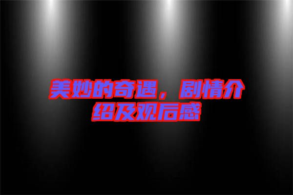 美妙的奇遇，劇情介紹及觀后感