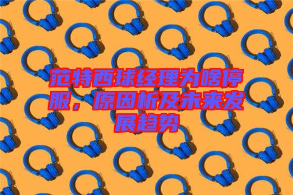范特西球經(jīng)理為啥停服，原因析及未來(lái)發(fā)展趨勢(shì)