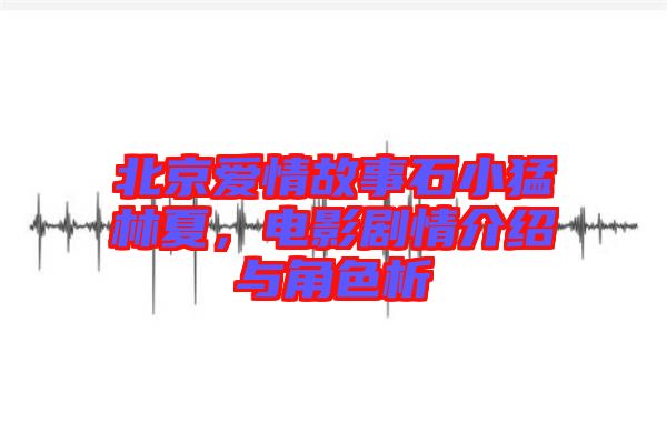 北京愛情故事石小猛林夏，電影劇情介紹與角色析