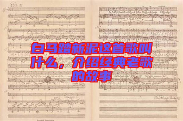 白馬踏新泥這首歌叫什么，介紹經(jīng)典老歌的故事