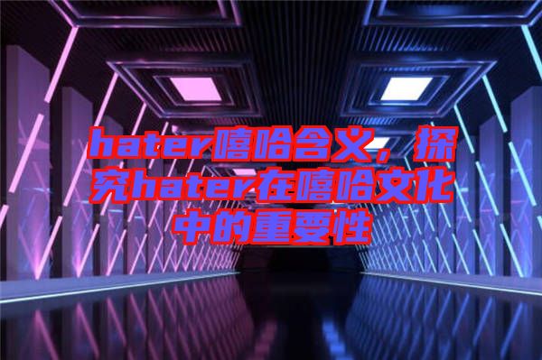 hater嘻哈含義，探究hater在嘻哈文化中的重要性