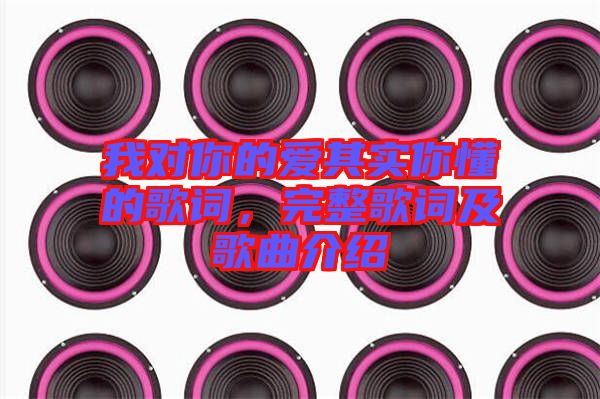 我對你的愛其實你懂的歌詞，完整歌詞及歌曲介紹