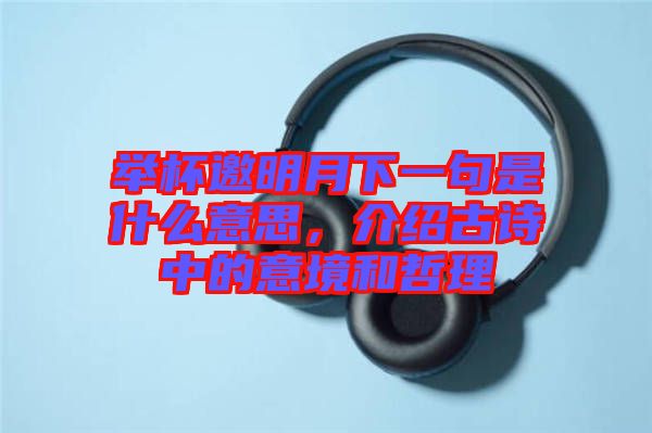 舉杯邀明月下一句是什么意思，介紹古詩(shī)中的意境和哲理