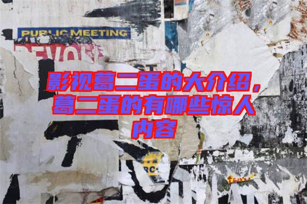 影視葛二蛋的大介紹，葛二蛋的有哪些驚人內(nèi)容