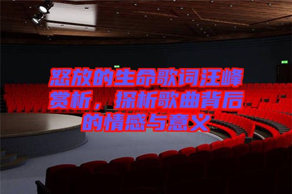 怒放的生命歌詞汪峰賞析，探析歌曲背后的情感與意義