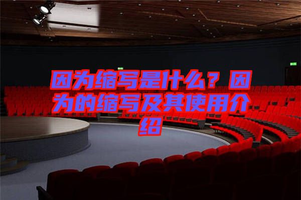 因?yàn)榭s寫是什么？因?yàn)榈目s寫及其使用介紹