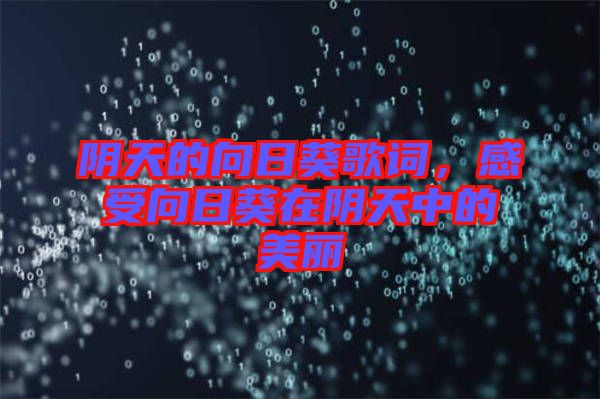 陰天的向日葵歌詞，感受向日葵在陰天中的美麗