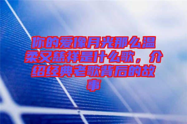 你的愛像月光那么溫柔又慈祥是什么歌，介紹經(jīng)典老歌背后的故事