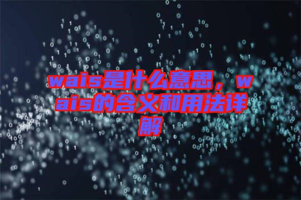 wais是什么意思，wais的含義和用法詳解