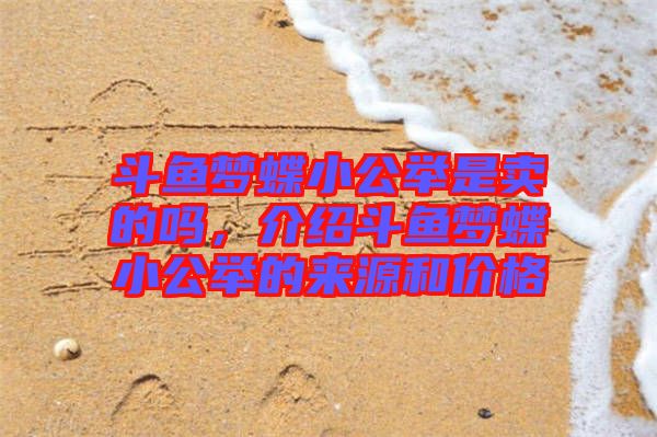 斗魚夢蝶小公舉是賣的嗎，介紹斗魚夢蝶小公舉的來源和價格