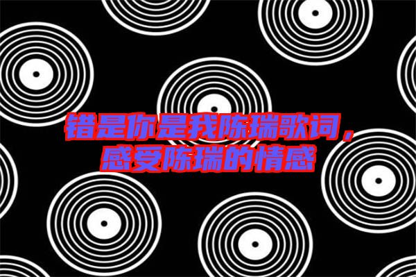 錯是你是我陳瑞歌詞，感受陳瑞的情感