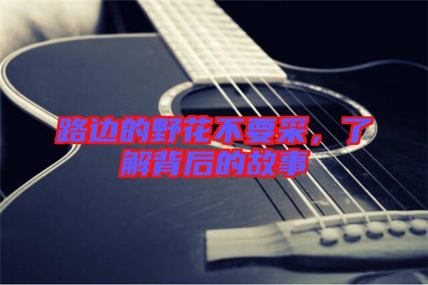 路邊的野花不要采，了解背后的故事