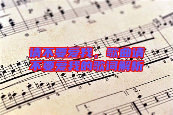 請不要愛我，歌曲請不要愛我的歌詞解析