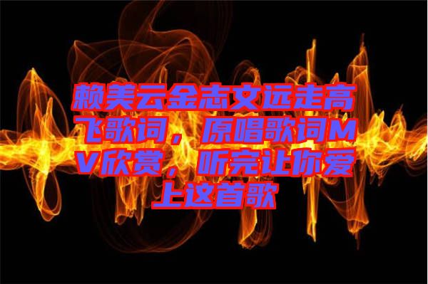 賴美云金志文遠(yuǎn)走高飛歌詞，原唱歌詞MV欣賞，聽完讓你愛上這首歌