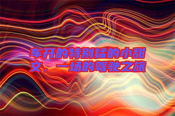 車(chē)開(kāi)的特別猛的小甜文，一場(chǎng)的駕駛之旅