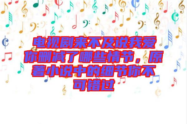 電視劇來(lái)不及說(shuō)我愛(ài)你刪減了哪些情節(jié)，原著小說(shuō)中的細(xì)節(jié)你不可錯(cuò)過(guò)