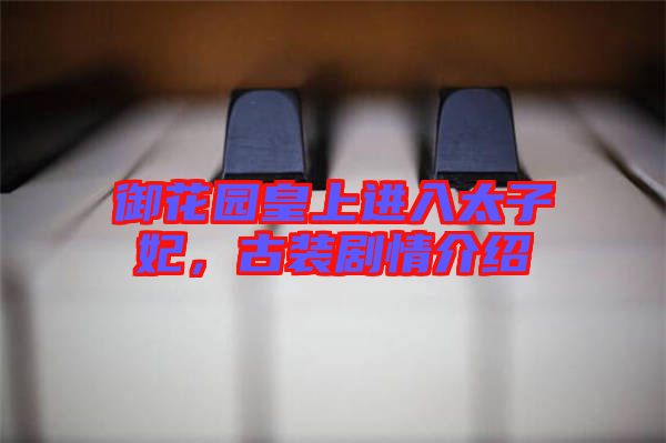 御花園皇上進(jìn)入太子妃，古裝劇情介紹
