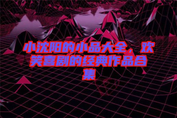 小沈陽的小品大全，歡笑喜劇的經(jīng)典作品合集