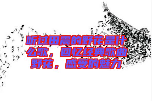聽過田震的野花是什么歌，回憶經(jīng)典歌曲野花，感受的魅力