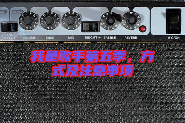 我是歌手第五季，方式及注意事項