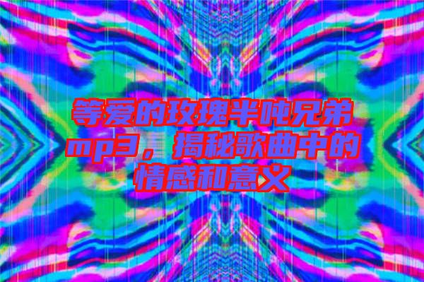等愛的玫瑰半噸兄弟mp3，揭秘歌曲中的情感和意義