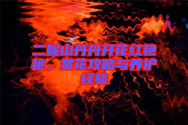 二妮山丹丹開花紅艷艷，賞花攻略與養(yǎng)護(hù)經(jīng)驗